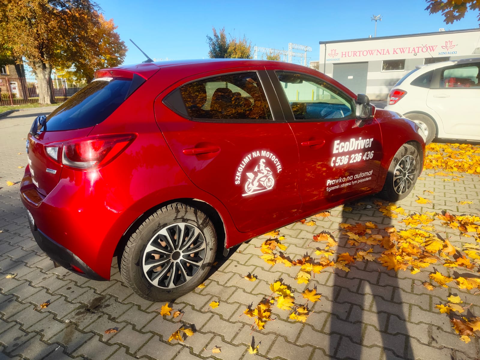 Flota szkoleniowa EcoDriver